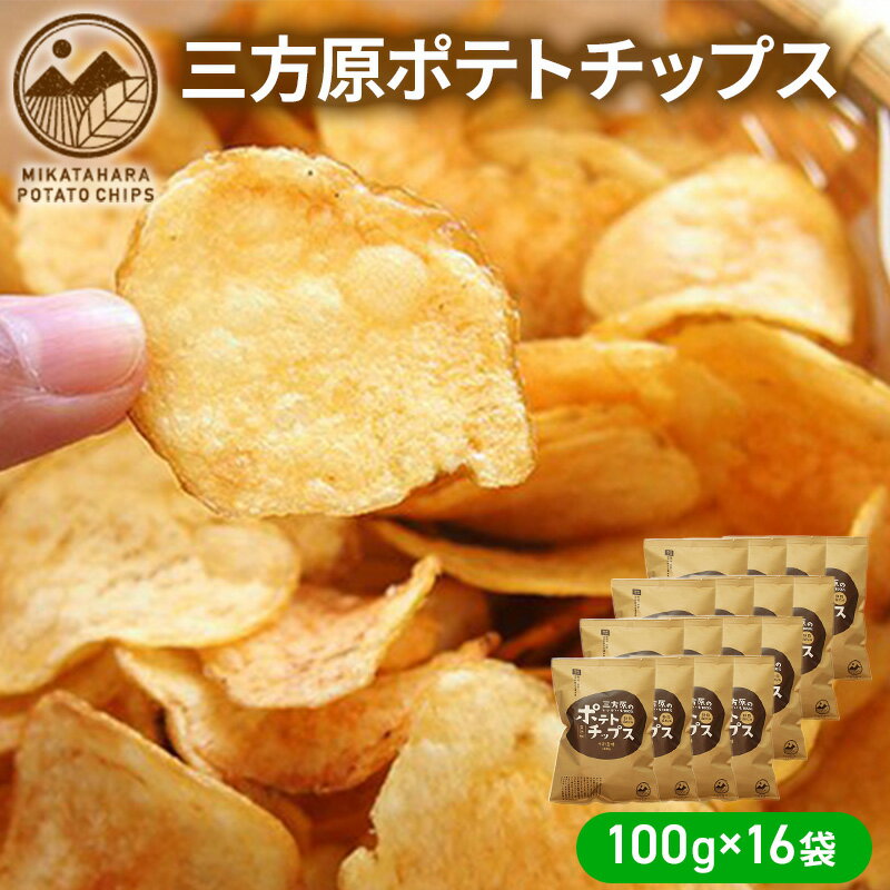 【ふるさと納税】【2024年6月中旬以降順次発送】三方原ポテトチップス 100g×16袋 スイーツ お菓子 スナック 駄菓子 　お届け：2025年6月中旬～10月上旬