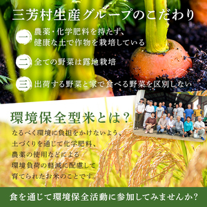 【先行受付 2026年11月上旬～2027年4月下旬発送予定】有精卵　10個×3パック（割れ保証3個含む）農薬・化学肥料を持たない農家の野菜で育てた平飼い鶏 mi0036-0001