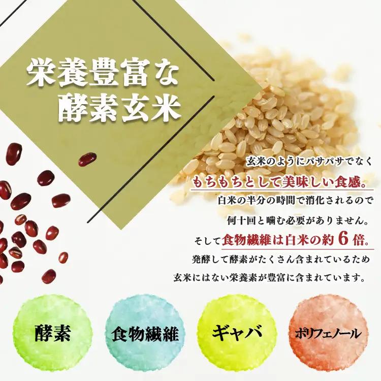 【 定期便 3回 】酵素玄米 ごはん ( 長岡式 ) 約 2.4kg | 酵素玄米 長岡式 オーガニックカフェ 奈良県 平群町