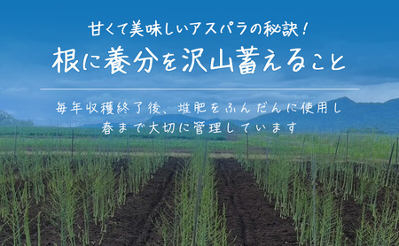 ［武田農園とれたて直送］2027年春～発送 グリーンアスパラ 2L 1kg やわらかくて抜群にあまい！北海道 富良野産 (アスパラガス アスパラ 野菜 新鮮 産地直送 先行予約 限定)