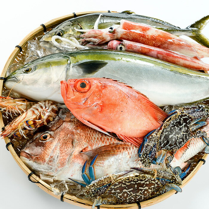 【ふるさと納税】＜定期便＞ 魚介類定期便 (全12回 ・連続) 魚 魚介 海鮮 いか イカ たこ タコ 貝 海老 えび エビ 冷蔵 【opba001】【海べ】