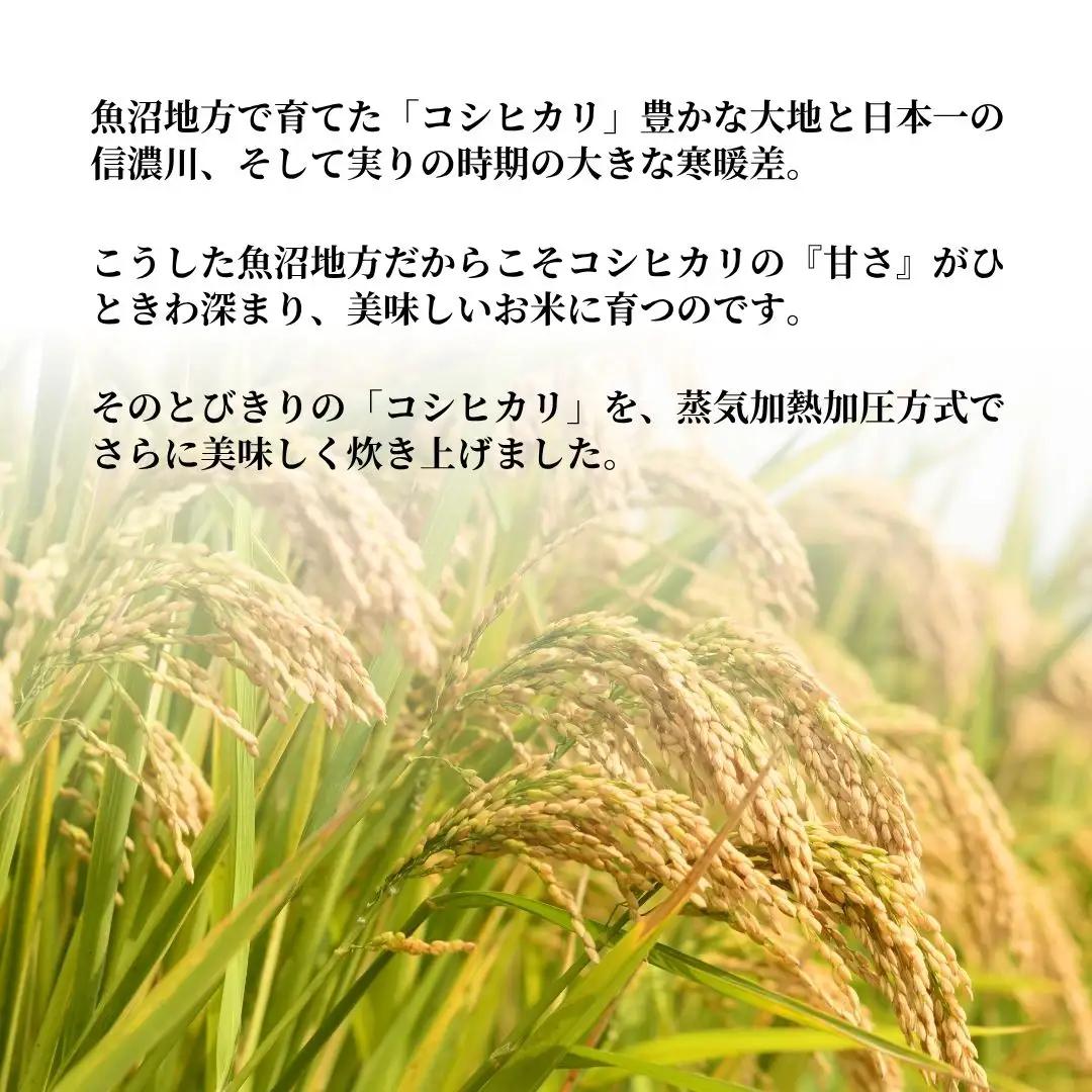 【パックご飯】魚沼産こしひかり パックご飯12個 