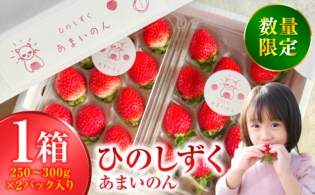 【先行予約】ひのしずく -あまいのん 新鮮 フルーツ 果物 くだもの 苺 いちご イチゴ ストロベリー 旬 熊本 八代 国産 【2026年1月下旬より順次発送】