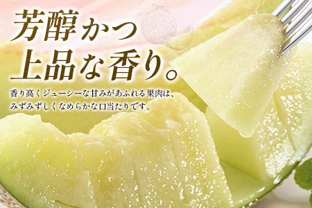 ＜数量限定＞しんとみアールスメロン 2L2玉 計3kg以上 先行予約 国産 フルーツ 果物 宮崎県産 ※2025年11月～12月の期間内に出荷【B520-01】
