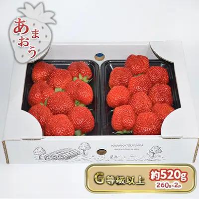 いちご あまおう G以上 約520g（260g×2パック）いちご 東北