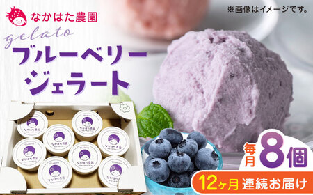 【限定数量】【全12回定期便】熊本県産 ブルーベリー ジェラート 8個 アイス カップ 熊本 山都町 冷凍 農園直送 産地直送 熊本県産 山都町産 フルーツ 果物 【なかはた農園】[YBI043]