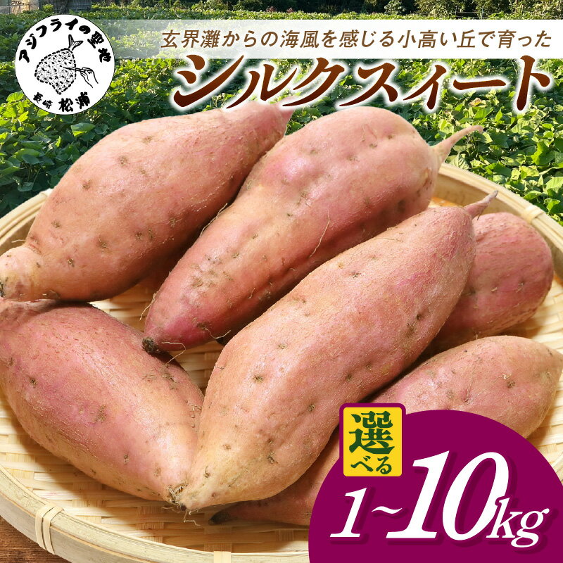 【ふるさと納税】【長崎県松浦市産】畑の宝石 さつまいも(シルクスイート) 1kg 2kg 3kg 5kg 10kg
