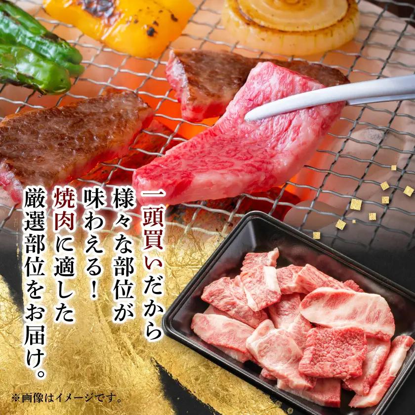 【飛騨牛】切り落し焼肉用 800g 岐阜県産 黒毛和牛【配送不可地域：離島】【1751220】