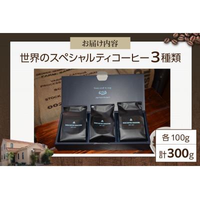ふるさと納税 高浜市 厳選!世界のスペシャルティコーヒー 100g×3種 豆のまま