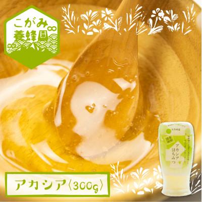 ふるさと納税 飛騨市 アカシア蜜 300g[Q1199]