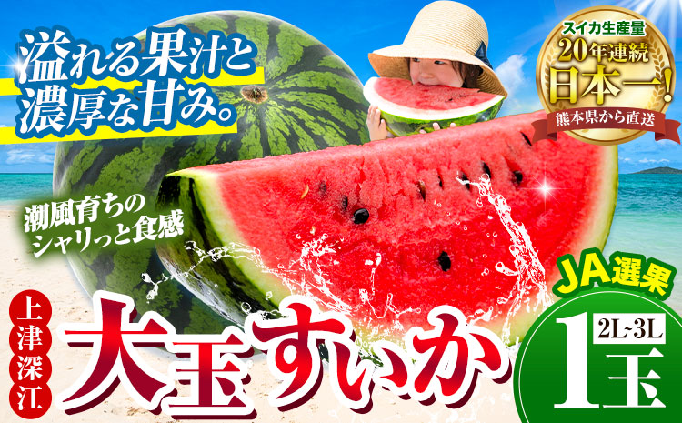 上津深江 大玉すいか 1玉 2L 3L《7月中旬-8月下旬頃出荷》熊本県 苓北町 スイカ 西瓜 大玉 フルーツ 果物 夏 旬 産地直送 夏ギフト くだもの 青果---reihoku_loc_825_1