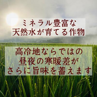 ふるさと納税 新庄市 至福のはえぬき(精米)10kg |  | 02