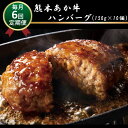 【ふるさと納税】肥後の赤牛ハンバーグ　150g×10　定期便6回 G-39 | | 熊本県 熊本 くまもと 和水町 なごみ 赤牛 あか牛 肥後 ハンバーグ 小分け 150g 10個 定期便 6回 おかず 牛肉