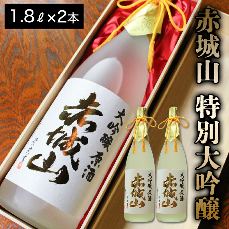 【ふるさと納税】【133】赤城山　特別大吟醸　2本