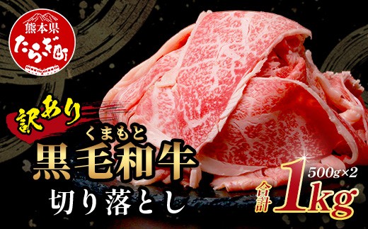 
                  【訳あり】くまもと黒毛和牛 切り落とし 【1kg】  本場 熊本県 黒毛 和牛 ブランド 牛 肉 1キロ 大容量 上質 くまもと 訳アリ 小分け 冷凍 すき焼き しゃぶしゃぶ 113-0551
                
