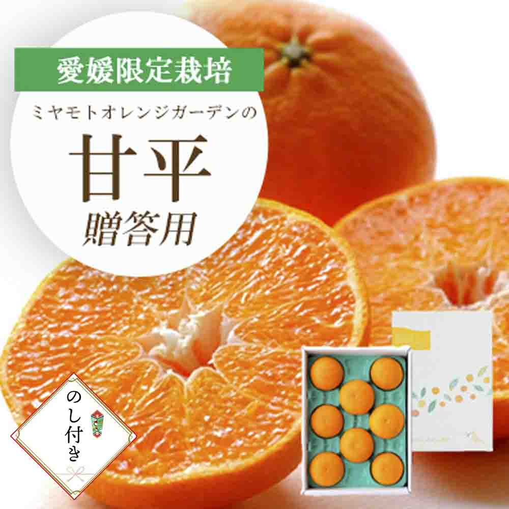 【先行受付】愛媛限定栽培柑橘 甘平(かんぺい) 贈答用 のし付き【E25-169】【1536582】 YWTAP110