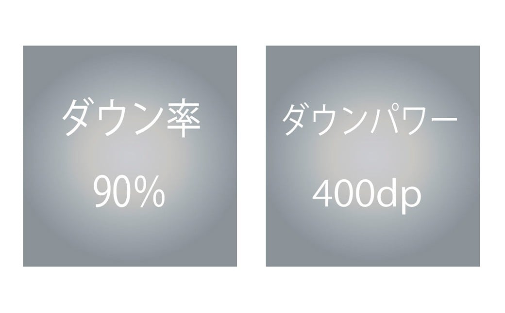 羽毛肌掛け布団 シングル 清潔な羽毛 ポーランドホワイトグース90％ 0.4kg入り