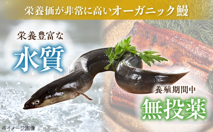 鰻 うなぎ ウナギ 蒲焼き かば焼き 国産 無投薬 ギフト 冷凍 土用の丑の日