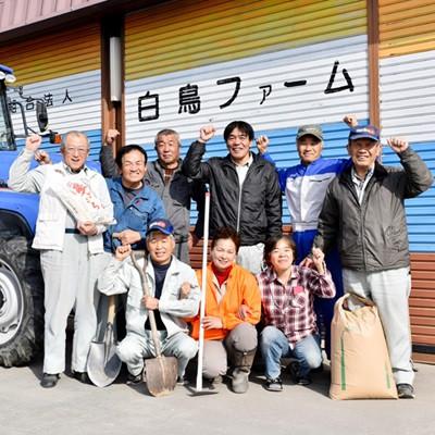 ふるさと納税 池田町 【令和6年産】特別栽培米 10kg【7分ツキ】(コシヒカリ) |  | 01
