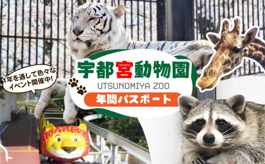 宇都宮動物園 年間パスポート 大人（中学生～）1名様分 | 栃木県 宇都宮市 動物園 どうぶつえん 年パス 施設利用券