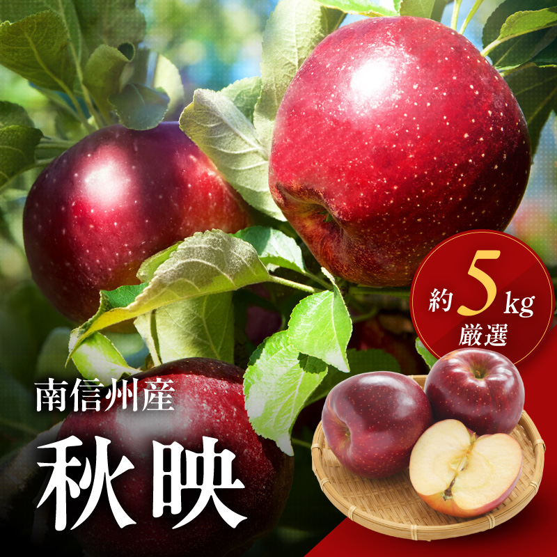 長野県産 りんご 秋映 約5kg 【2026年9月下旬～発送】