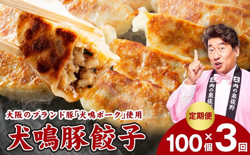 G5384 【泉佐野ブランド豚】犬鳴豚餃子 100個×3回【国産 豚肉 ぶたにく 定期便 犬鳴ポーク 焼くだけ 人気 総菜 冷凍】