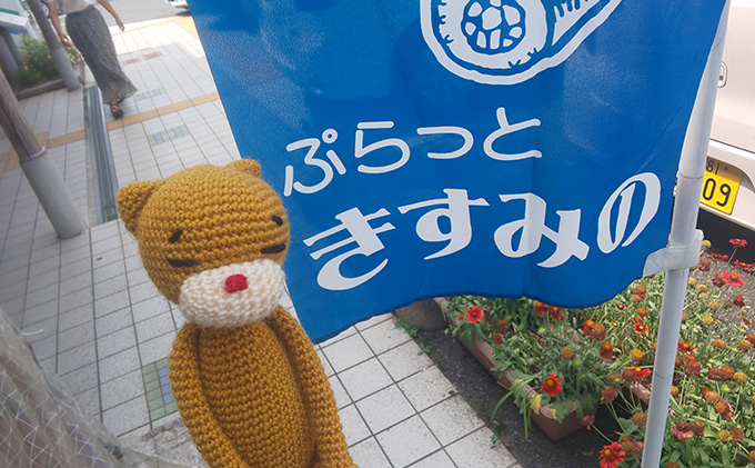 名店の味 ぷらっときすみの乾蕎麦 15人前セット 麺類 そば 
