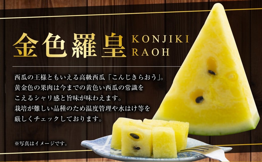 熊本産 金色羅皇 1玉 7キロ以上 西瓜 すいか スイカ 果物 フルーツ