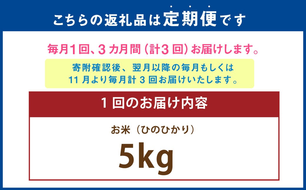 【年3回連続定期便】 【令和7年度産】 熊本県（七城）産のお米 計15kg（5kg×3回） 