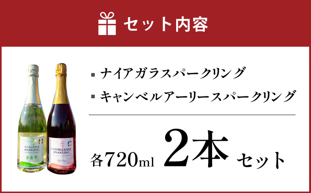 久住ワイナリーのスパークリングワイン2本セット