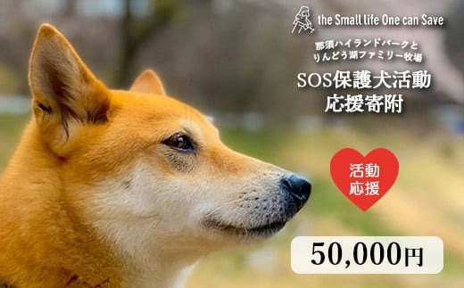 
            那須ハイ＆りんどう湖　SOS保護犬活動　お礼品なし 〔E-62〕｜保護犬 支援 動物愛護 応援 地域応援 愛犬 愛犬家 動物 ペット 社会貢献 保護活動 那須 栃木県 那須町

          