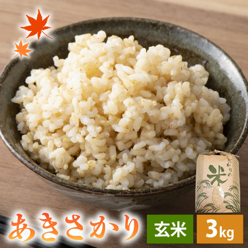 【ふるさと納税】【先行予約】 【新米】 令和7年産 あきさかり 3kg 福井県産 コシヒカリ系統品種【玄米】【お米 アキサカリ 3キロ】 【2025年11月より順次発送】 [e30-a090]