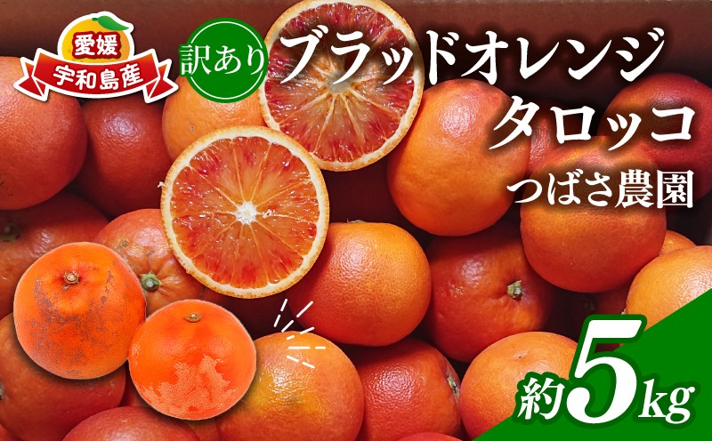 
                  訳あり ブラッドオレンジ タロッコ 約 5kg 愛媛みかん つばさ農園 先行予約 わけあり 訳アリ 訳あり品 オレンジ 果物 くだもの フルーツ ブラッド オレンジ 柑橘 みかん 愛媛蜜柑 愛媛ミカン みかん ミカン 蜜柑 mikan 農家直送 産地直送 数量限定 国産 愛媛 宇和島 B010-048015
                