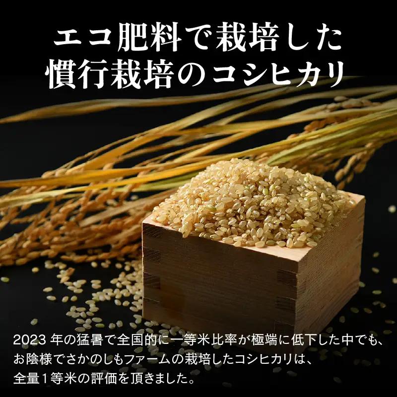 【先行予約】【令和8年産 新米】《定期便12回》エコ栽培コシヒカリ 玄米10kg（5kg×2袋）計120kg ／ 鮮度抜群 福井県産 こしひかり ご飯 新鮮 玄米 ※2026年10月上旬以降順次発送 