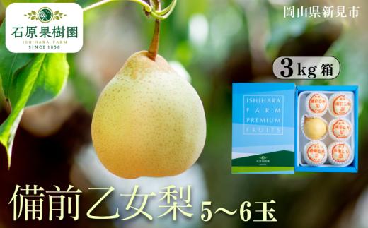 備前乙女梨 (ヤーリー) 5～6玉 約3kg 【先行予約 2025年11月中旬から順次発送】