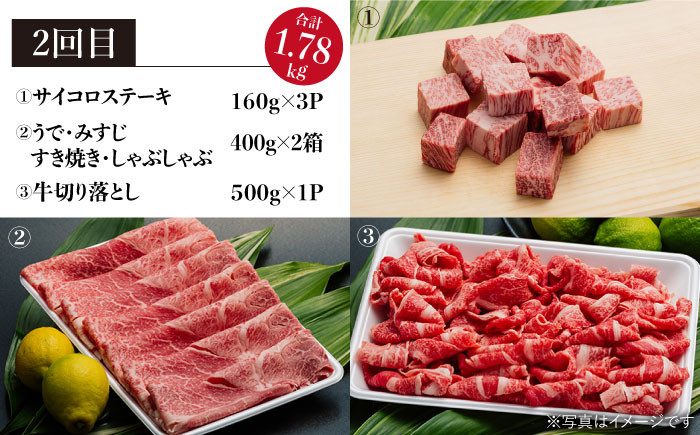 NA50 【総計5.1kg 長崎和牛を食べつくし！！】長崎和牛3回お届け便【肉のあいかわ】-3
