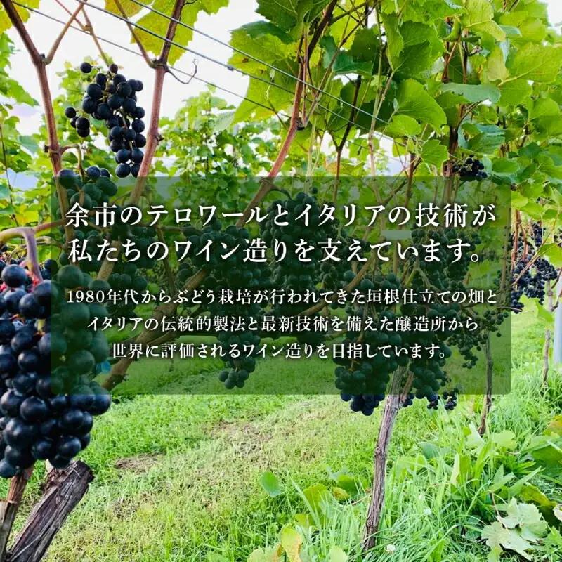 【数量限定】 ヨイチヌーヴォー レジェント 2023 【キャメルファーム】 余市 北海道 ワイン 赤ワイン ヌーヴォー ヌーボ 国産 キャメル カルディ おすすめワイン 余市のワイン 北海道のワイン 