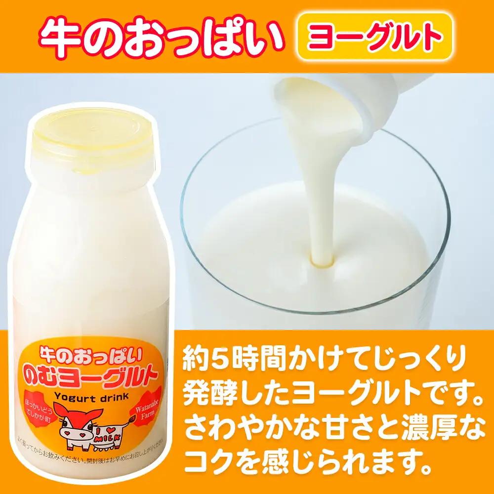 牛のおっぱいミルク 5本 のむヨーグルト5本 計10本 飲み比べ セット 牛乳 生乳 ミルク 牛 酪農 飲料 しぼりたて ヨーグルト お取り寄せ ギフト gift 渡辺体験牧場 まとめ買い 北海道 弟
