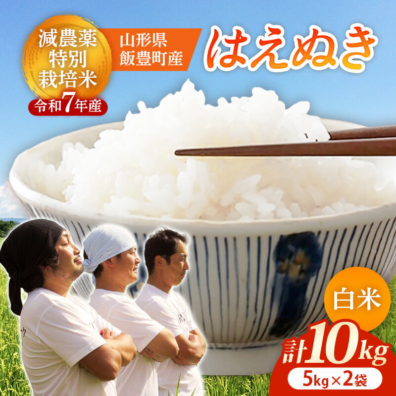 【ふるさと納税】【R7年産米】はえぬき 白米 10kg(5kg×2) - 白米 米 ごはん 品種 銘柄 ブランド米 おすすめ 送料無料 山形県 飯豊町
