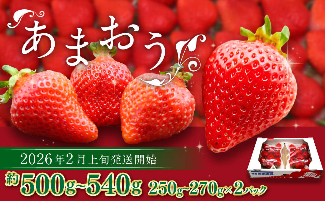 
            博多あまおう（春） 約250g～270g×2パック 計約500g～540g【2026年2月上旬-4月下旬発送予定】 いちご 苺 イチゴ 果物 フルーツ
          