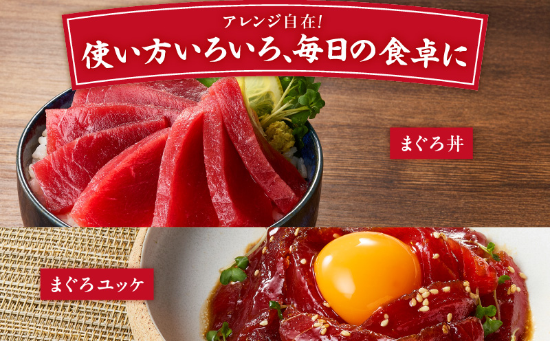 【お盆用】天然目鉢鮪 中とろ2柵・赤身1柵＜A2ランク＞（2026年8月10日にお届け）　M005-005