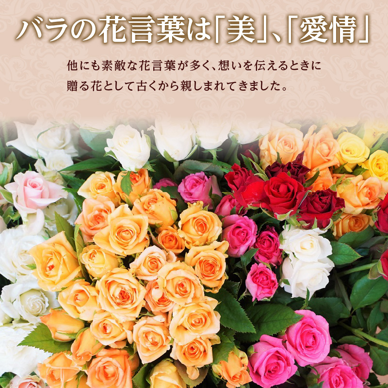【ラッピング付】生花 ピンク バラの花束 30本 日付指定可能 薔薇 ローズ ギフト プレゼント ラッピング インテリア お花 フラワー H193-010