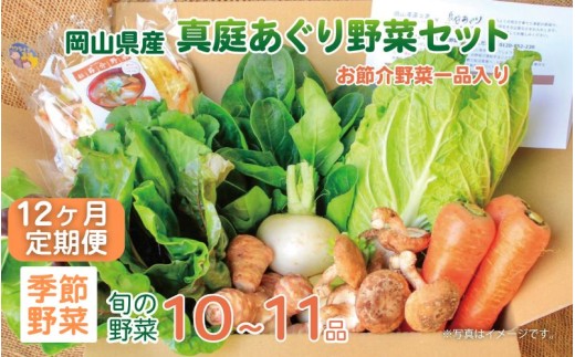 【12カ月定期便】真庭あぐり野菜セット カット野菜が1品入る 10～11品 / 産地直送 農家 お試し 岡山県 新鮮 あぐりガーデン 国産 【配送不可地域：北海道／沖縄県／離島】 【jujy-tkb053】