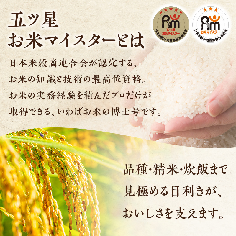 R7・8年産 新潟ブレンド米 10kg (5kg×2) 新潟県 新潟市産 令和8年産 お米 精米 米 ご飯 送料無料