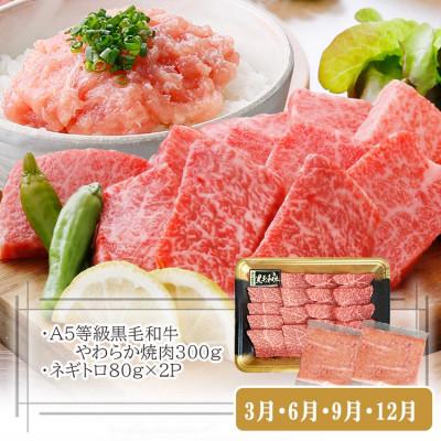 ふるさと納税 枕崎市 定期便【3回配送】枕崎お楽しみ便(A5黒毛和牛・豚ロース・黒豚ハンバーグ・かつお丼)LL-6037 |  | 03