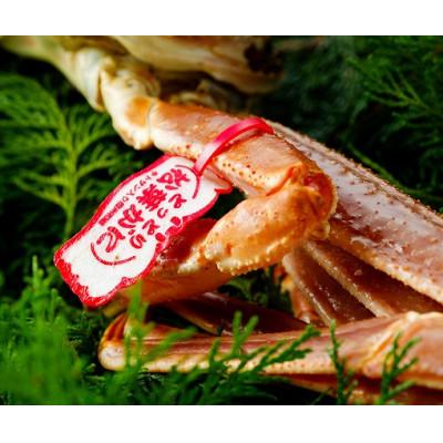 ふるさと納税 若桜町 【先行予約】鳥取県産　タグ付き活松葉がに　800g以上×1枚 |  | 01