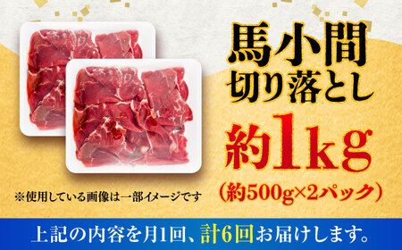 【全6回定期便】馬小間切り落とし 約1kg (約500g × 2パック) / 馬肉 こま切れ きりおとし 切落とし 馬小間 熊本 馬肉 切り落とし ヘルシー【五右衛門フーズ】[BHCY039]