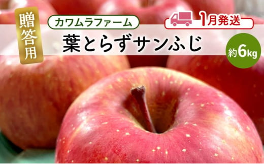 りんご 【 1月発送 】カワムラファーム 贈答用 葉とらず サンふじ 約6kg 【 弘前市産 青森りんご 】 青森 弘前