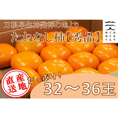 
＜R6年10月以降発送＞刀根早生柿発祥の地より「たねなし柿」L～2L(32～36玉)＜秀品＞【1138161】
