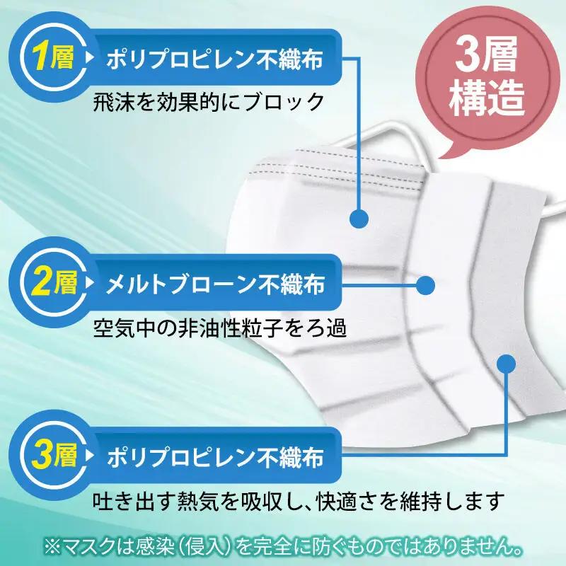 《定期便12ヶ月》国内製造 高性能サージカルマスク 普通サイズ 50枚入り×2箱 (合計100枚)×12回 